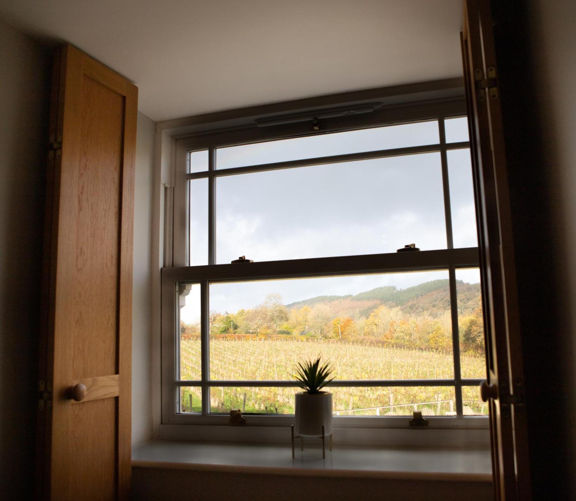 Vineyard Country Cottage Llanerch-Aeron Eksteriør billede
